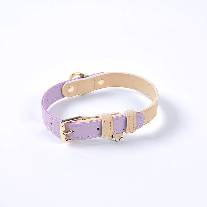 Colorful Leather Dog Collar