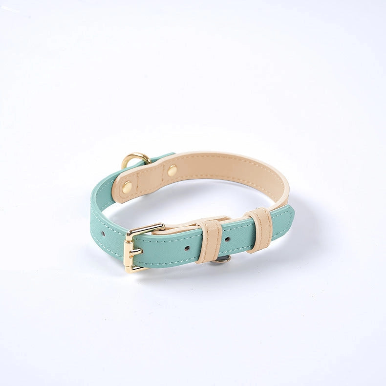 Colorful Leather Dog Collar