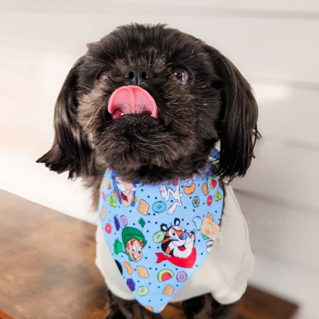 Cereal Mascots (March Monthly Mystery) - Bandana