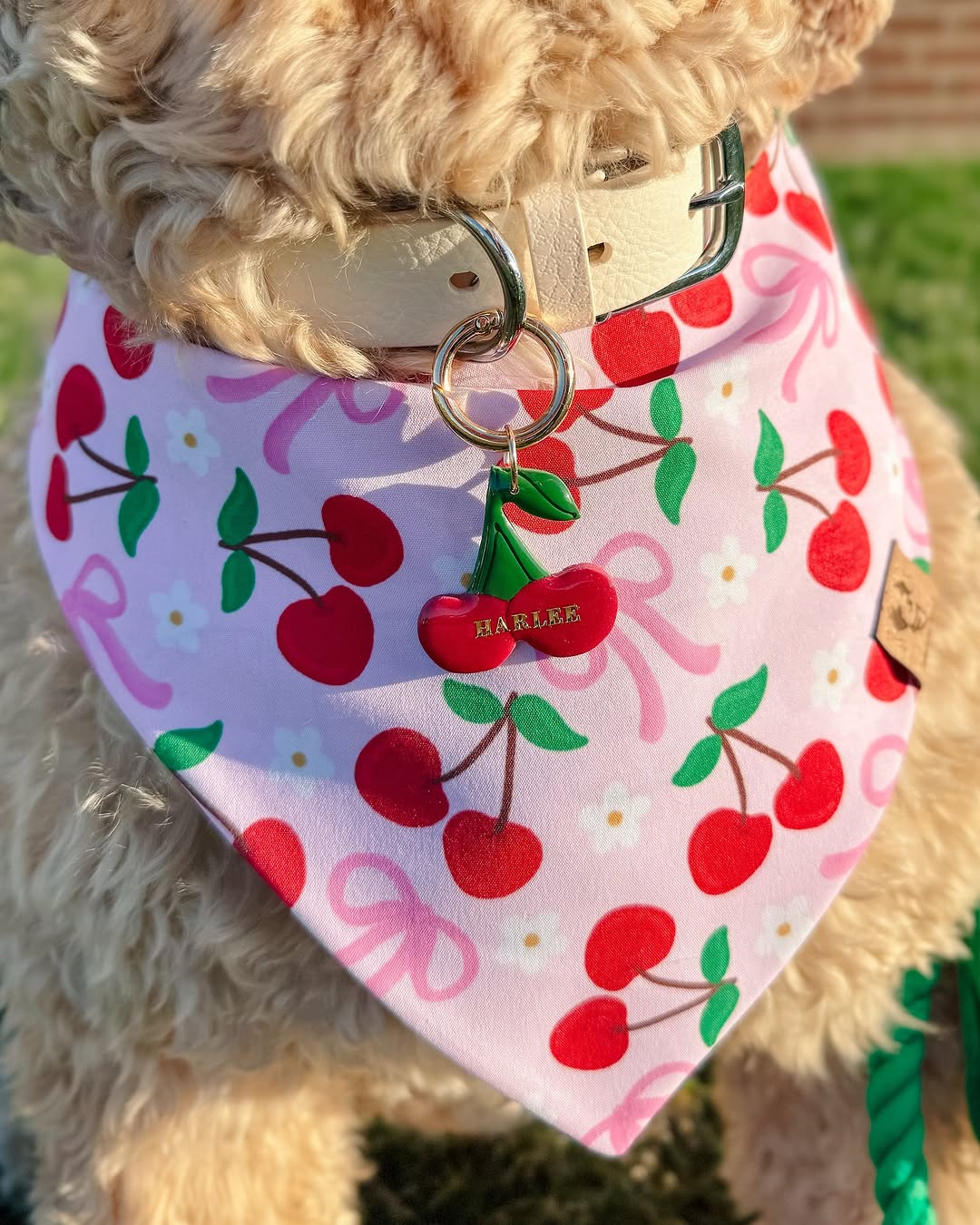 Spring Cherries - Bandana