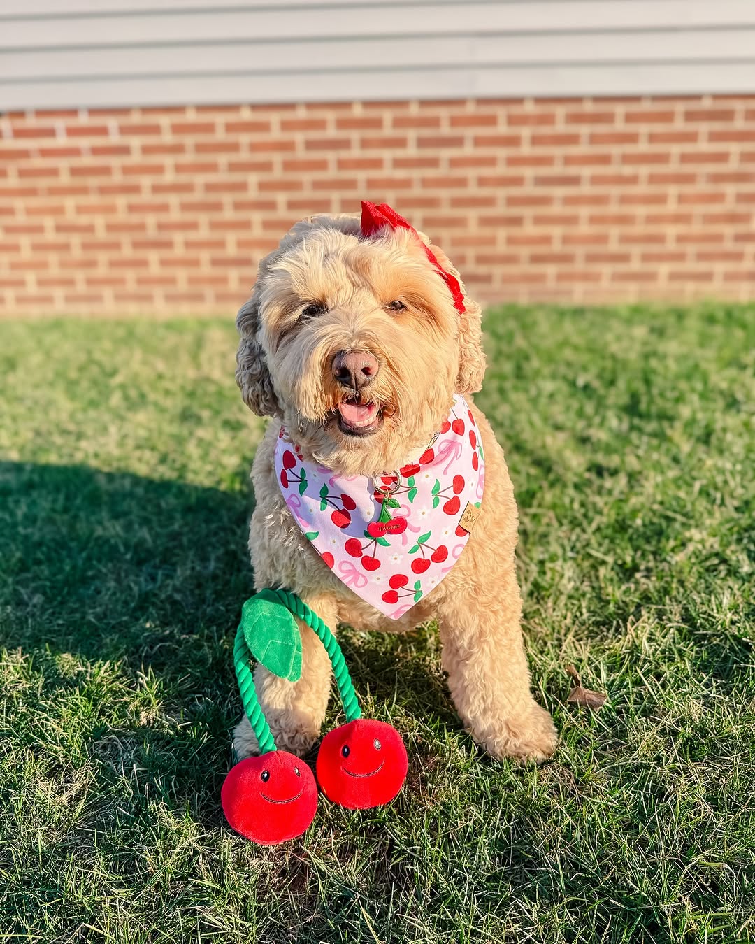 Spring Cherries - Bandana