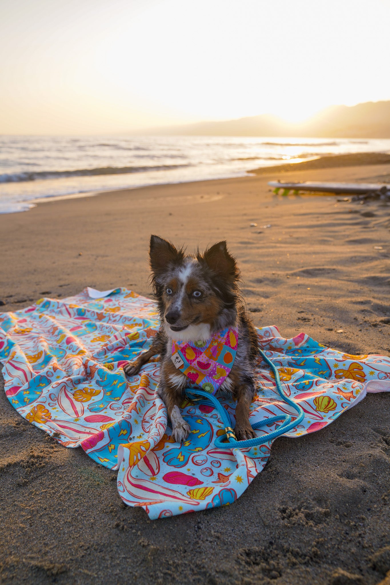Rad Sea Animals - Towel