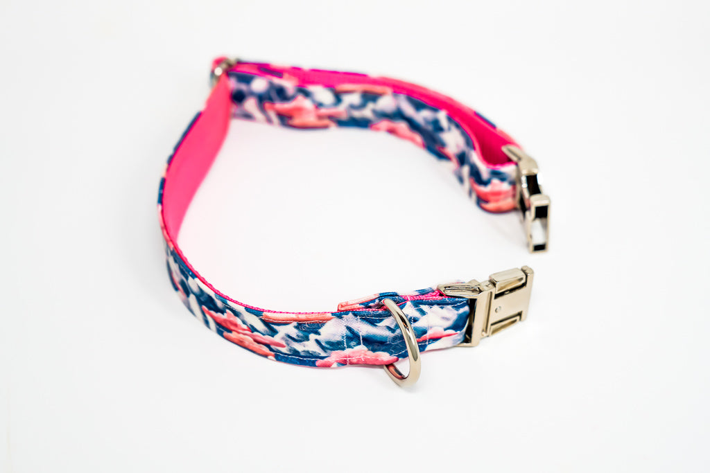 Dreamy Night Eco Canvas Dog Collar