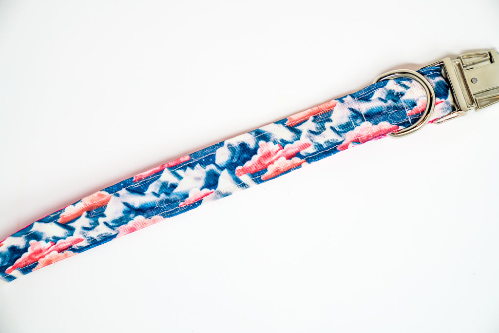 Dreamy Night Eco Canvas Dog Collar