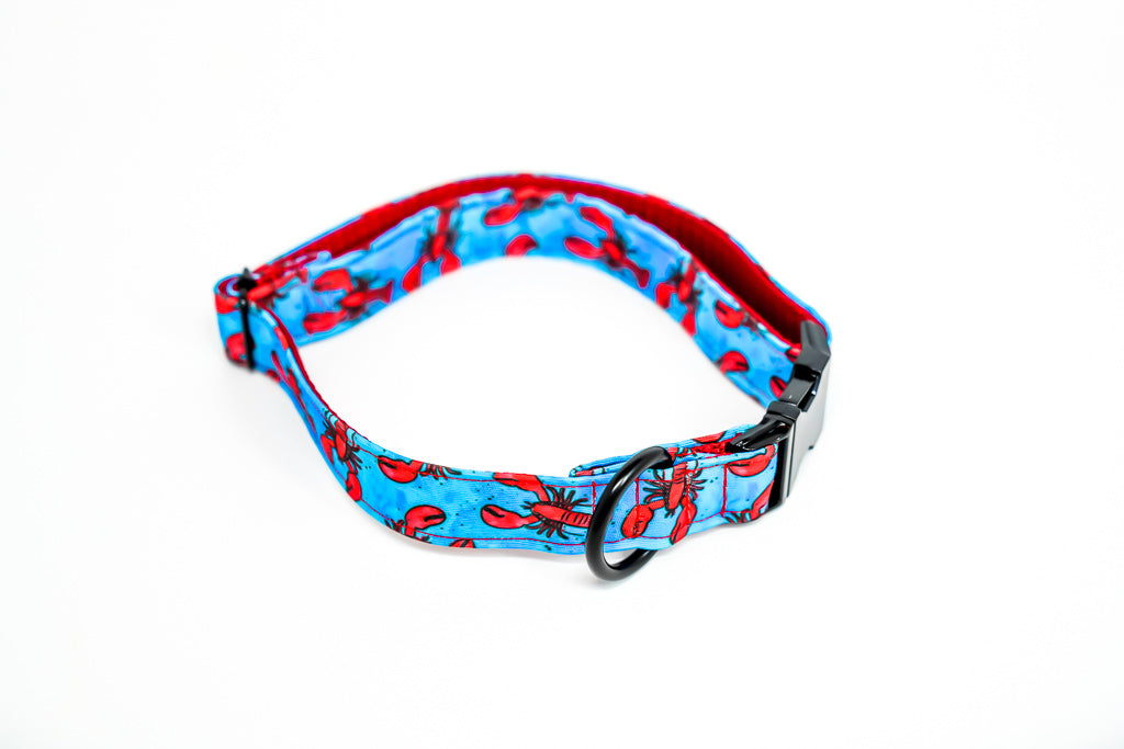 Lobster Eco Canvas Dog Collar
