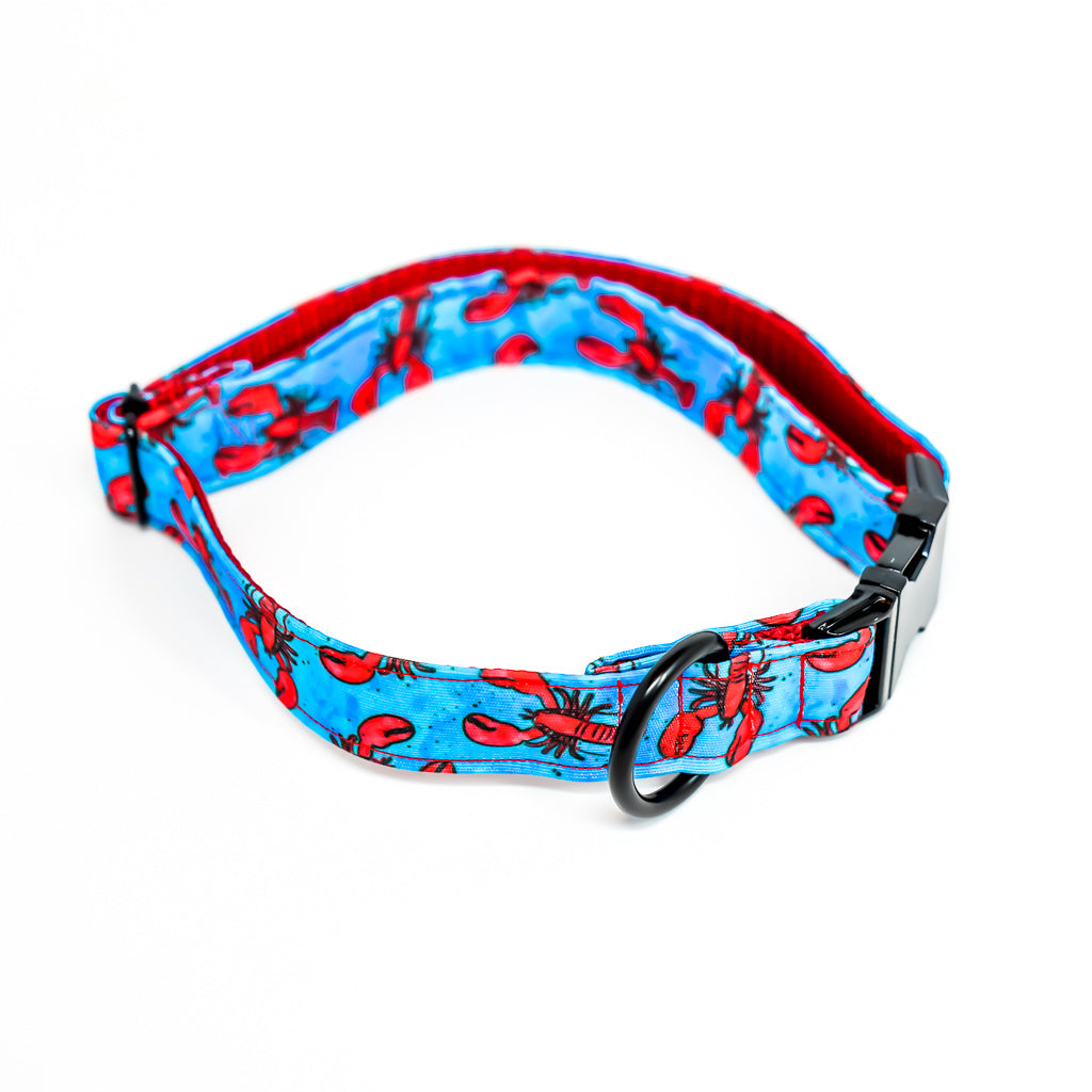 Lobster Eco Canvas Dog Collar
