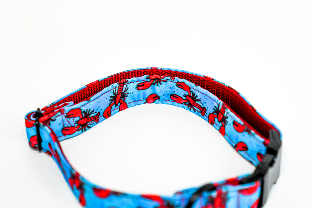 Lobster Eco Canvas Dog Collar