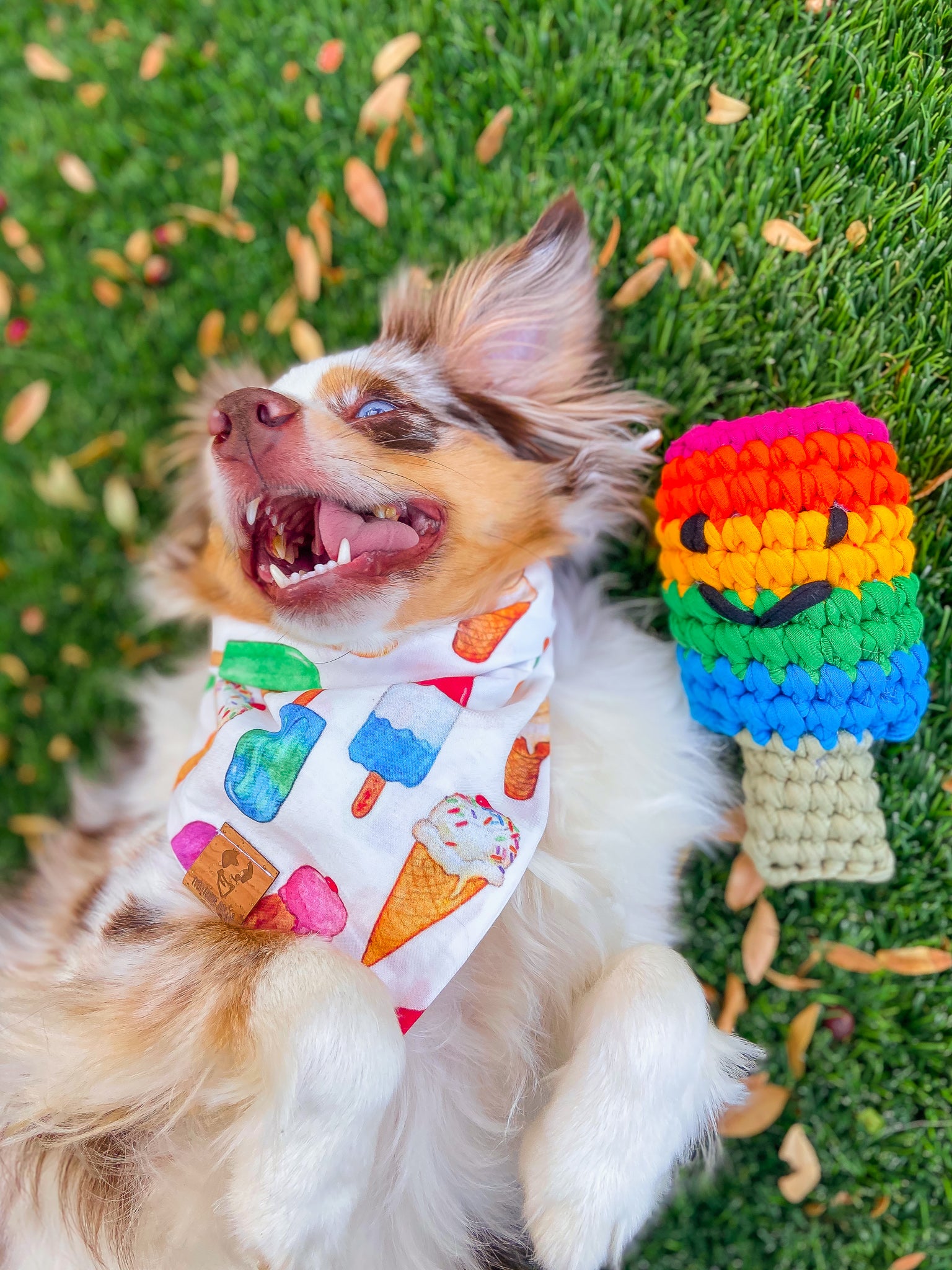 Crochet Popsicle