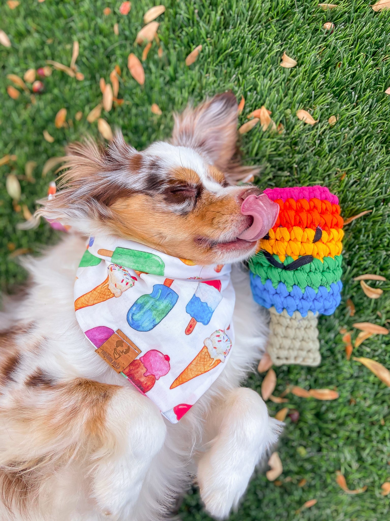 Crochet Popsicle