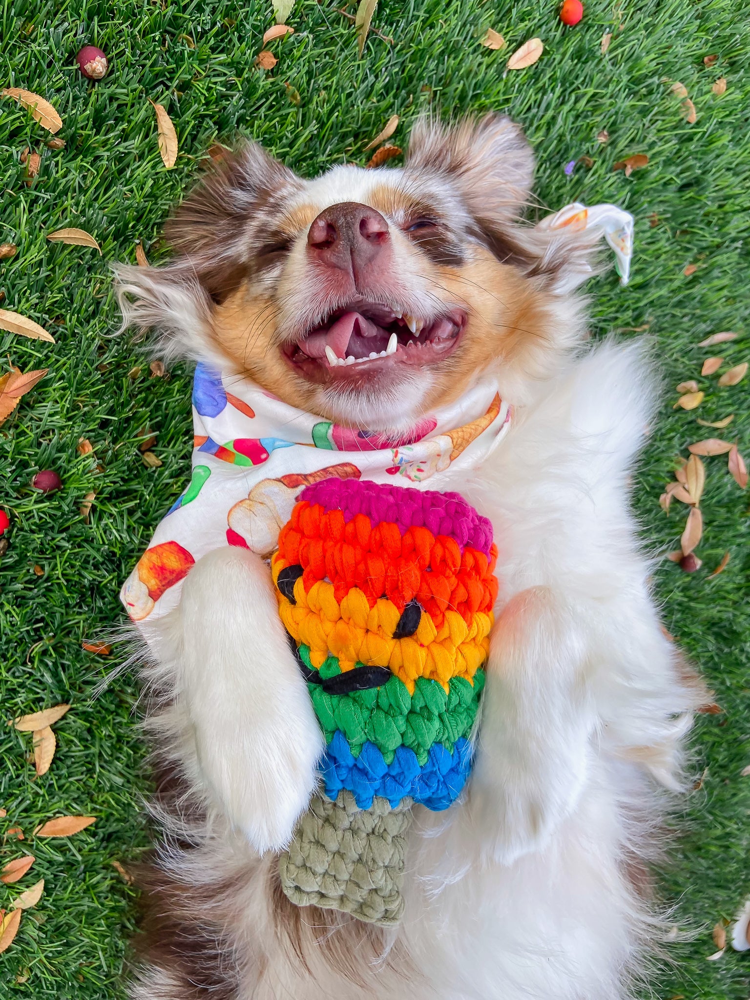 Crochet Popsicle