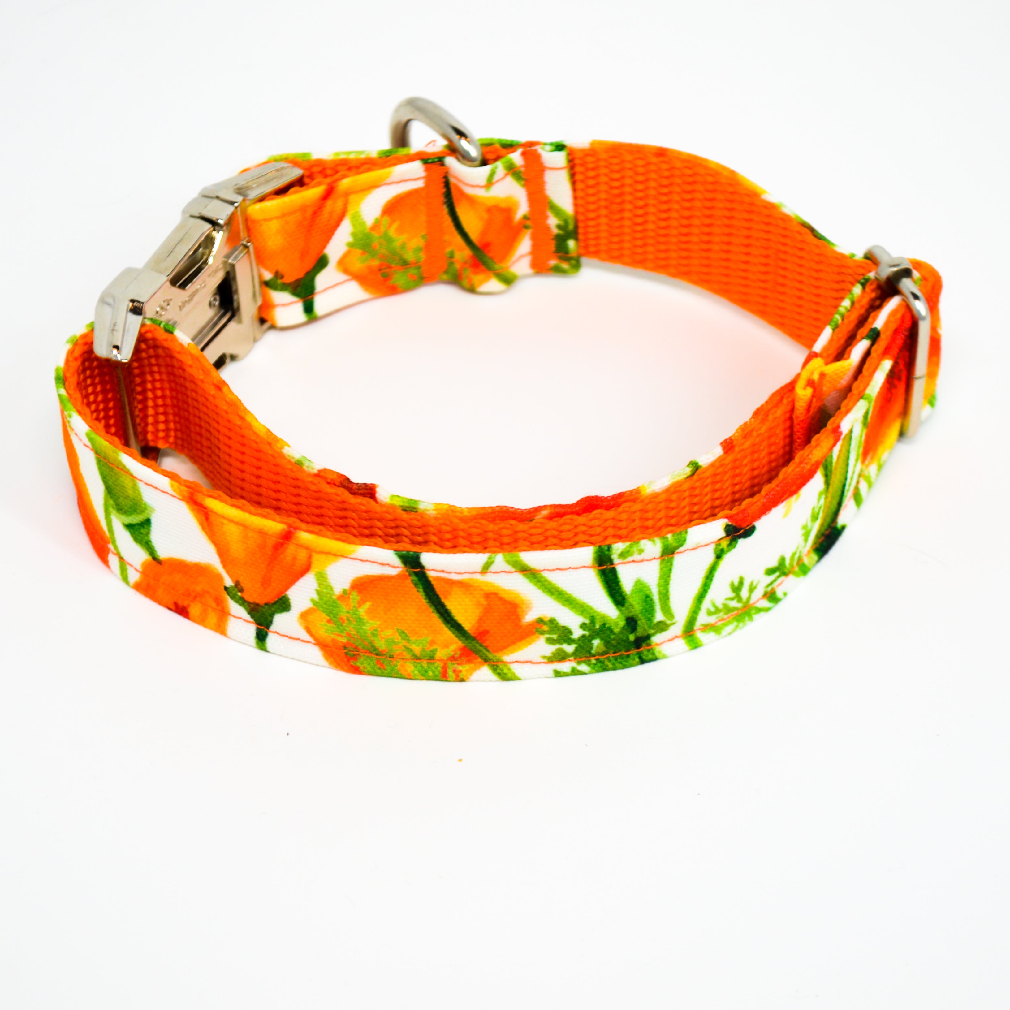 Dog collar hot sale with poppies