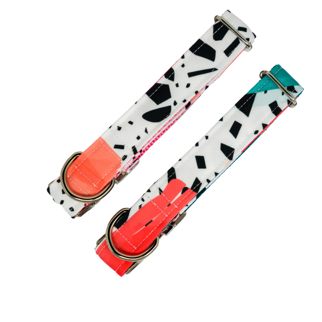 Confetti Eco Canvas Dog Collar