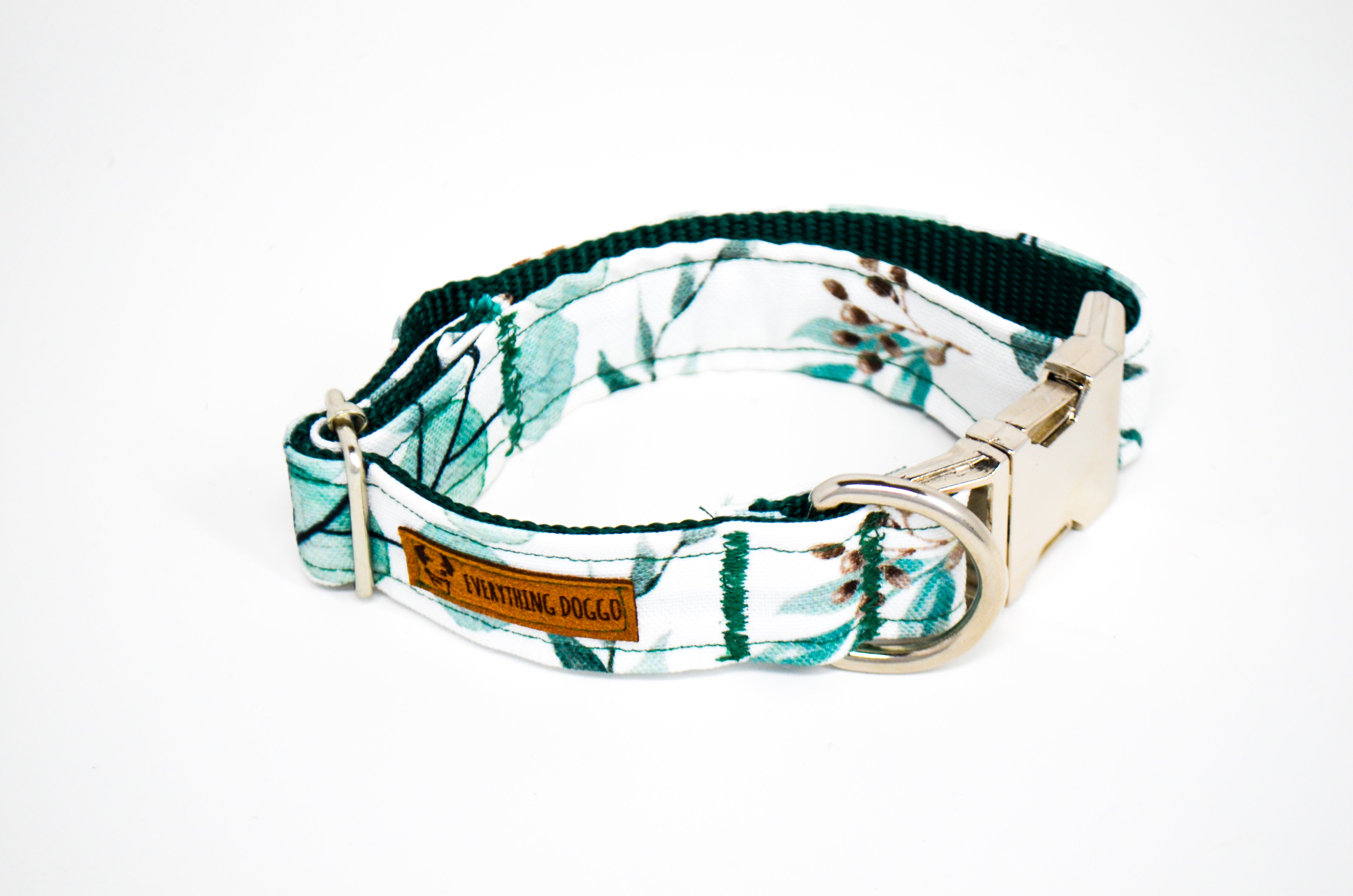 Eucalyptus Eco Canvas Dog Collar
