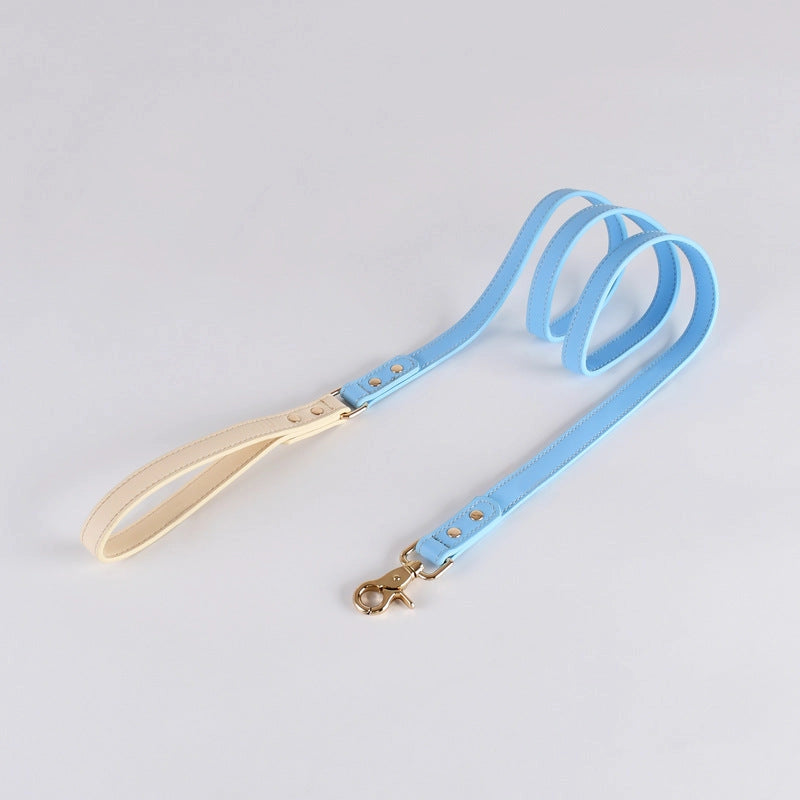 Colorful Leather Dog Leash