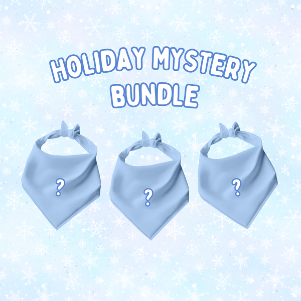 Holiday Mystery Bundle - Classic Tie On Bandanas