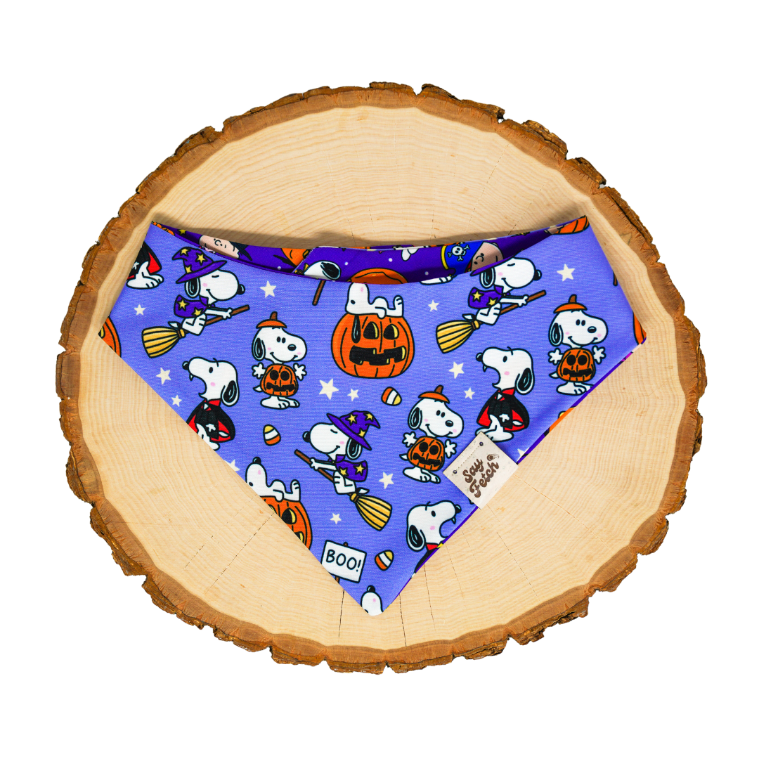 Spooky Beagle Friends (September Monthly Mystery) - Bandana