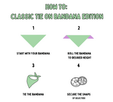 September Monthly Mystery - Bandana