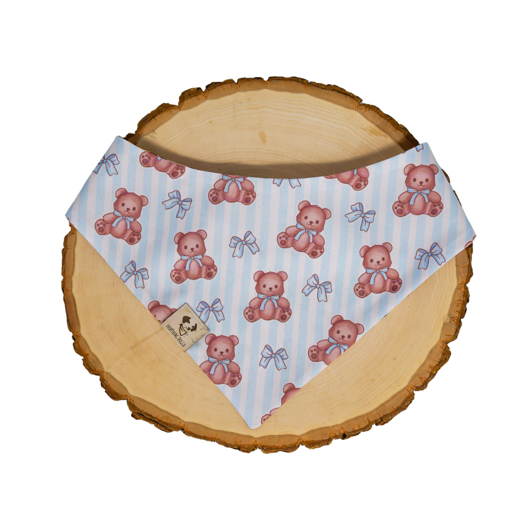 Cute Teddy - Bandana