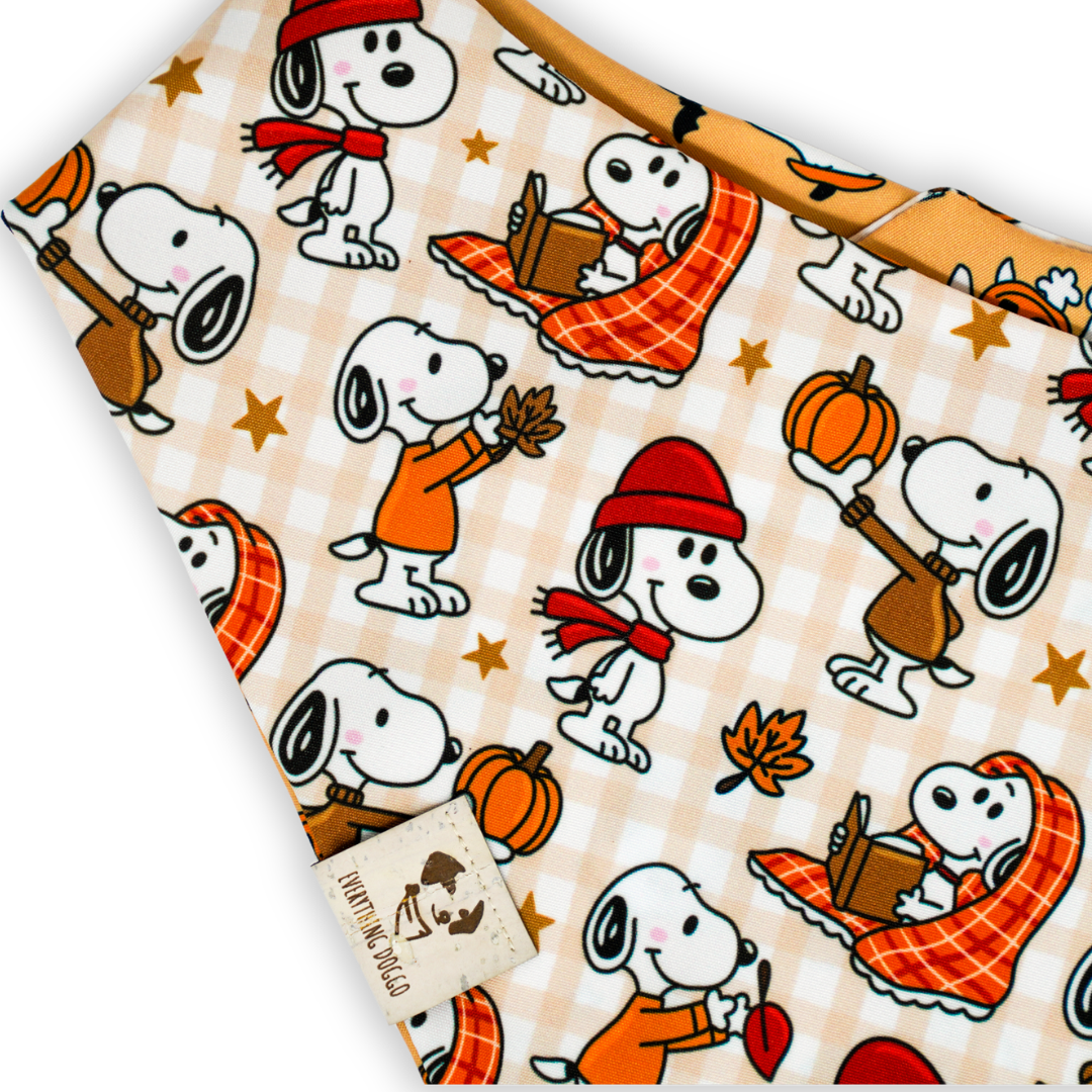 Fall Snoops - Bandana (Reversible)