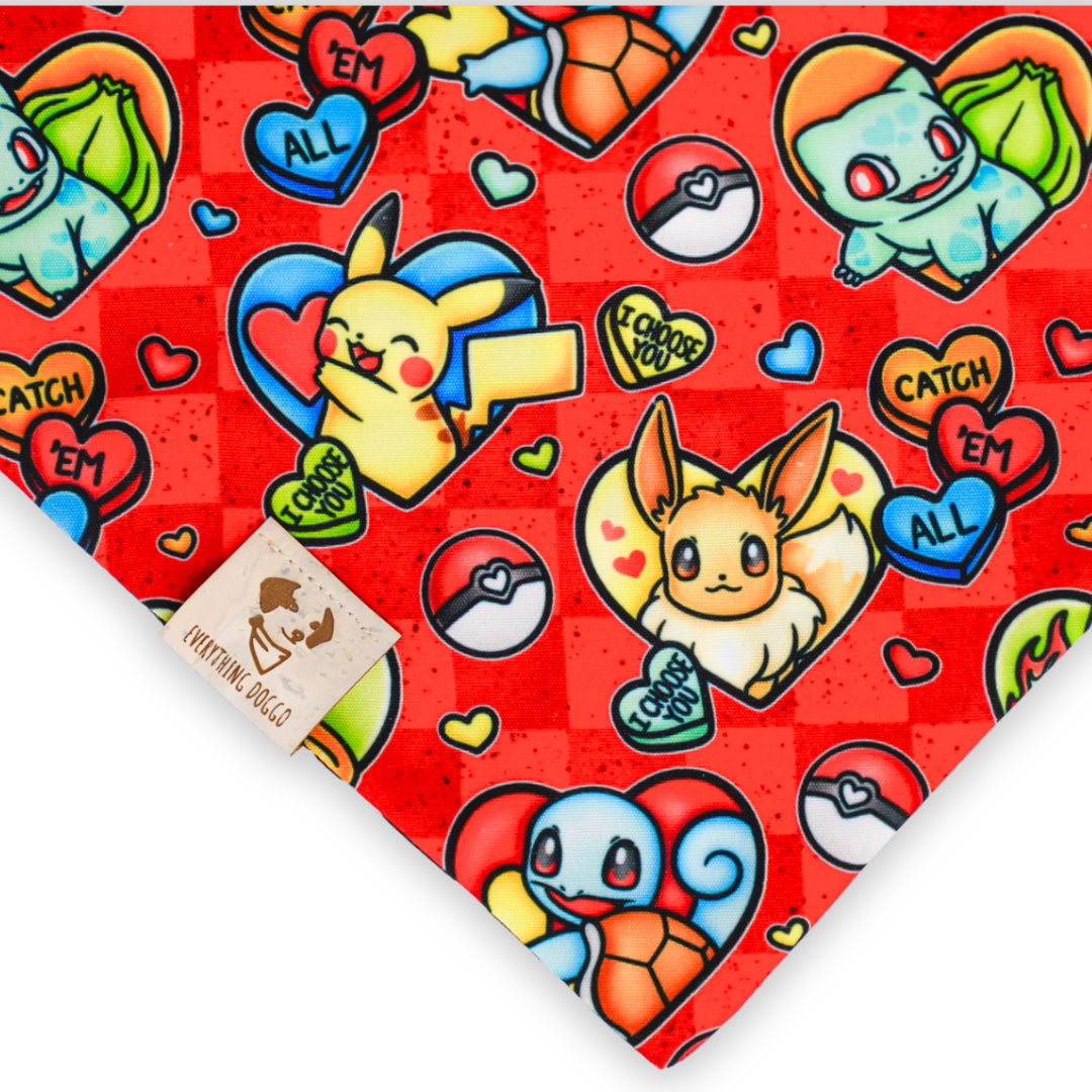 I Choose You - Bandana (Reversible)