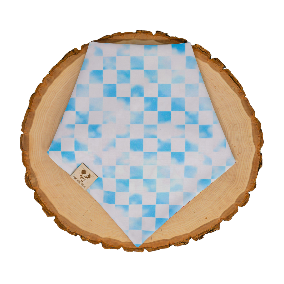 Cloud Kingdom (January Monthly Mystery) - Bandana