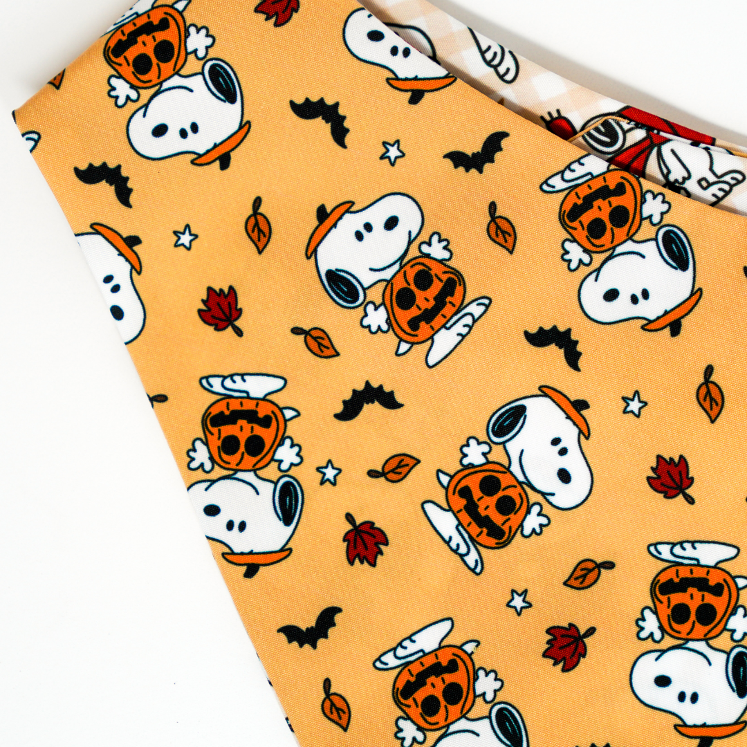Fall Snoops - Bandana (Reversible)