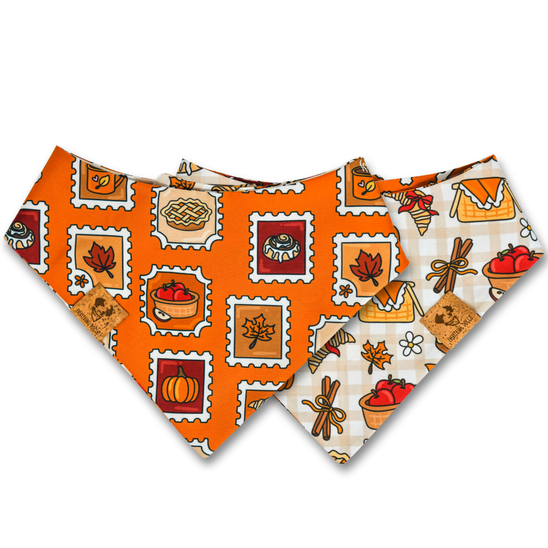Pumpkin Post -  Bandana (Reversible)