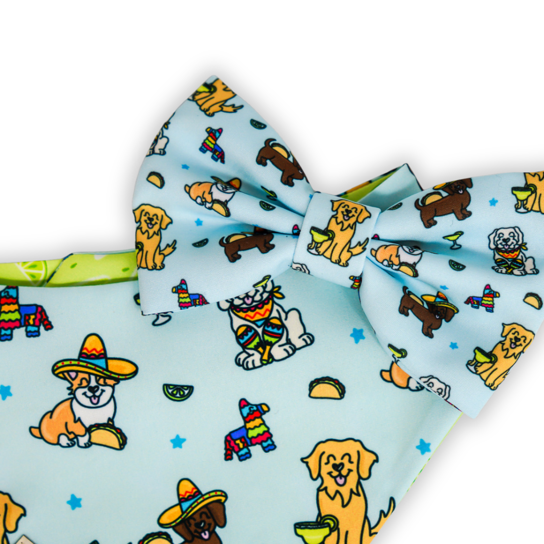 Fiesta Pups - Bow