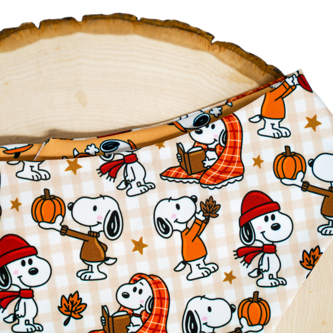 Fall Snoops - Bandana (Reversible)