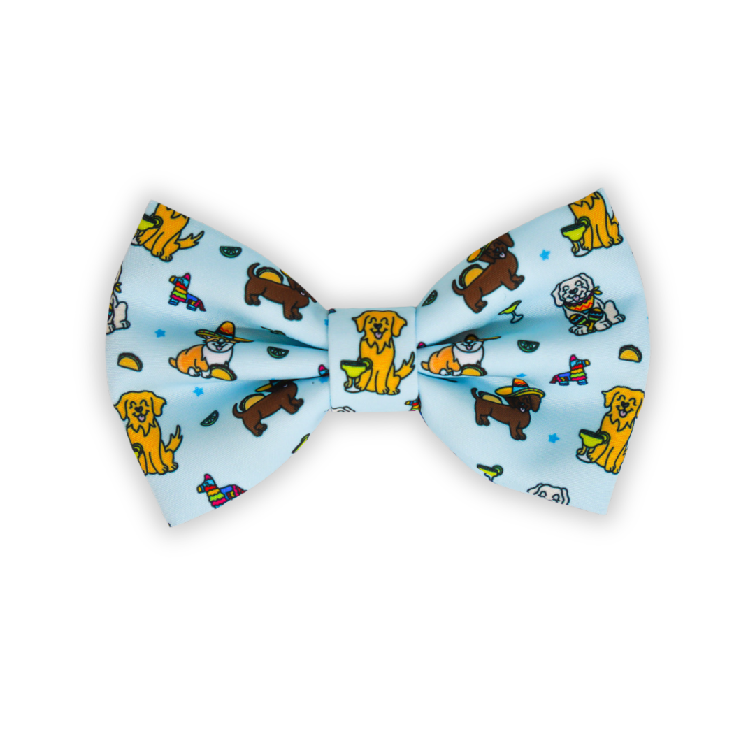 Fiesta Pups - Bow