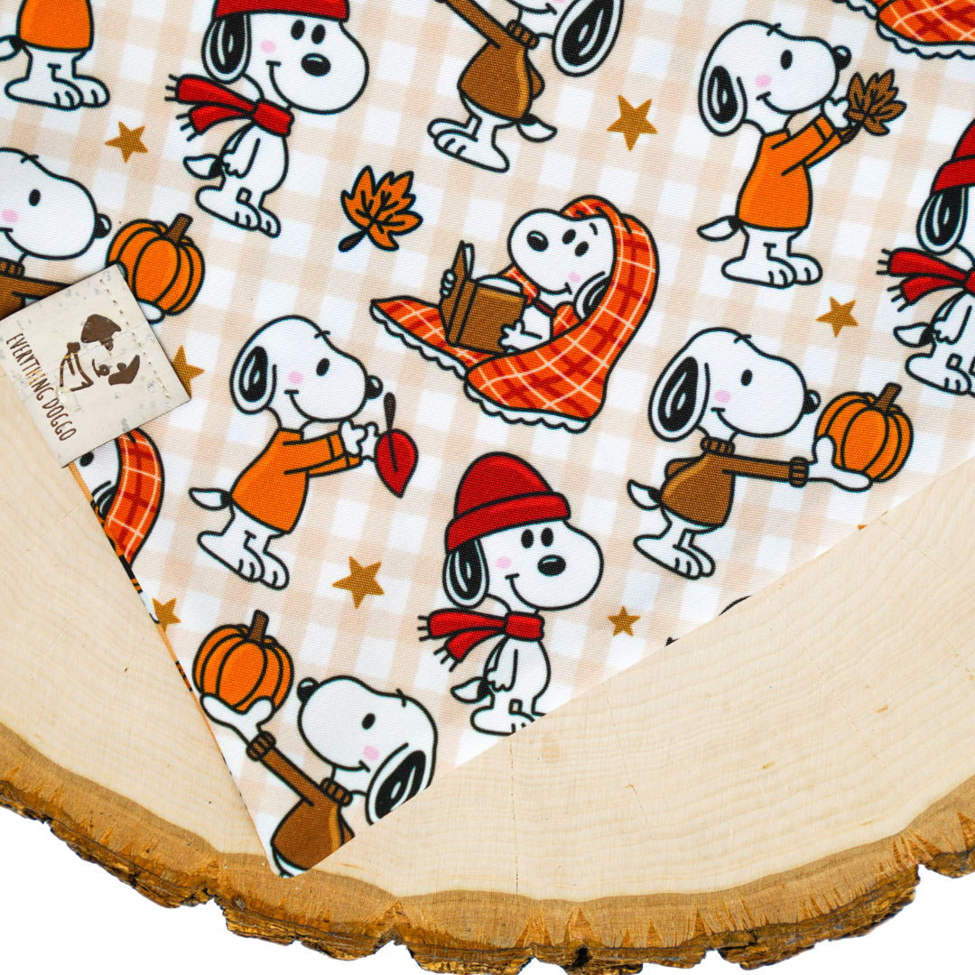 Fall Snoops - Bandana (Reversible)