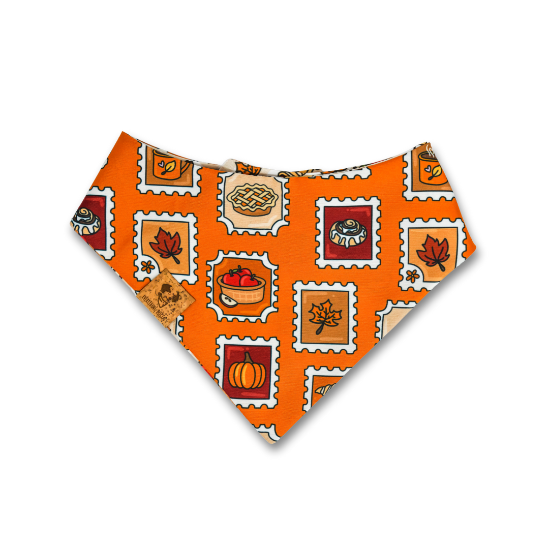 Pumpkin Post -  Bandana (Reversible)