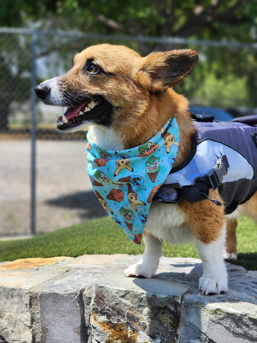 Poke Cones - Bandana