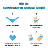 Sun Rays and Babes - Bandana (Reversible)