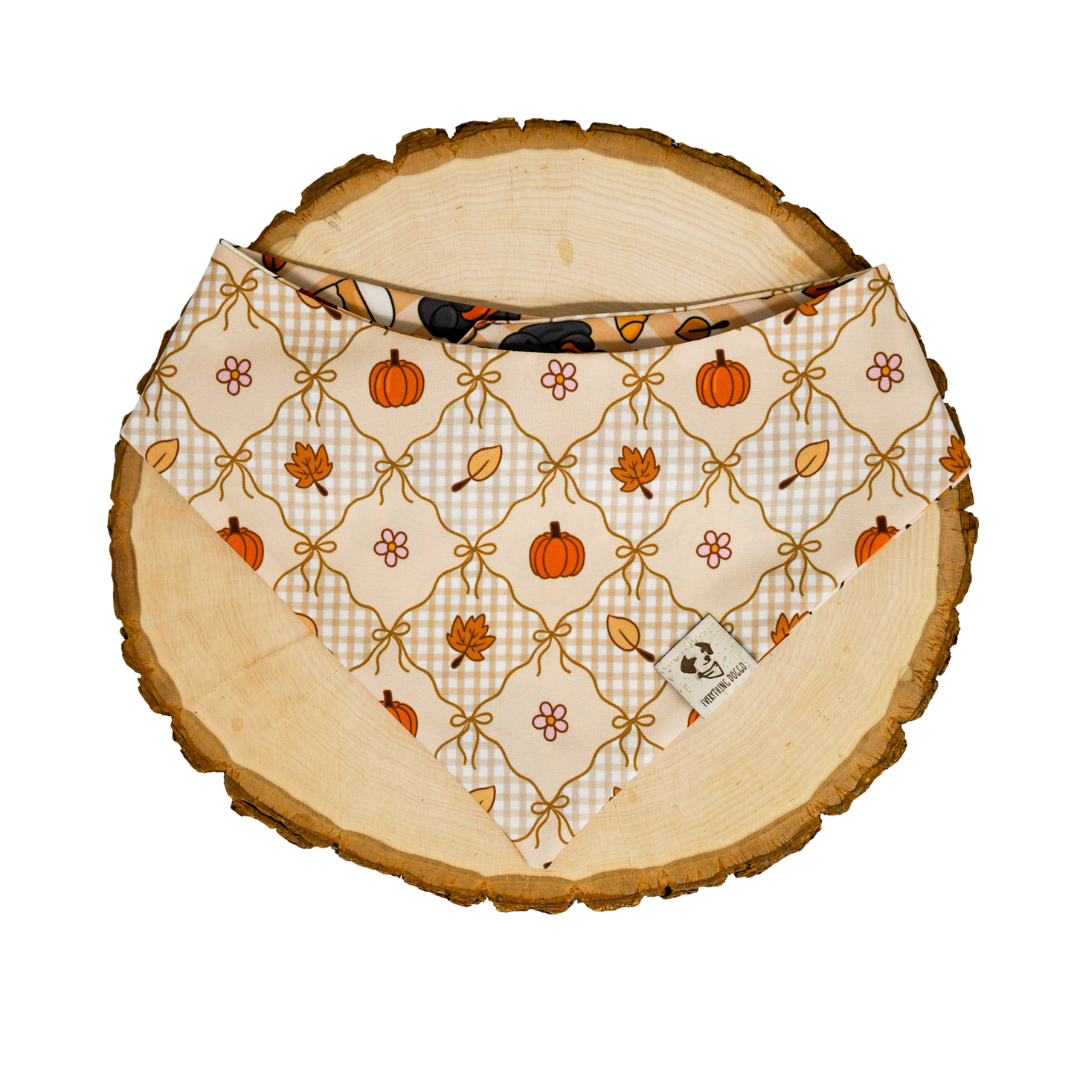 Autumn Snuggles - Bandana (Reversible)