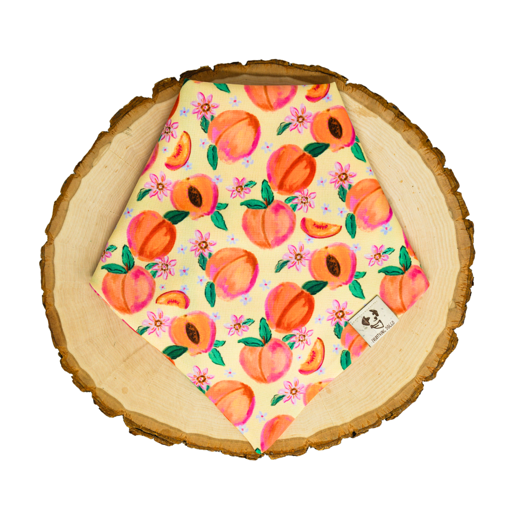 Peach Picnic (June Monthly Mystery) - Bandana