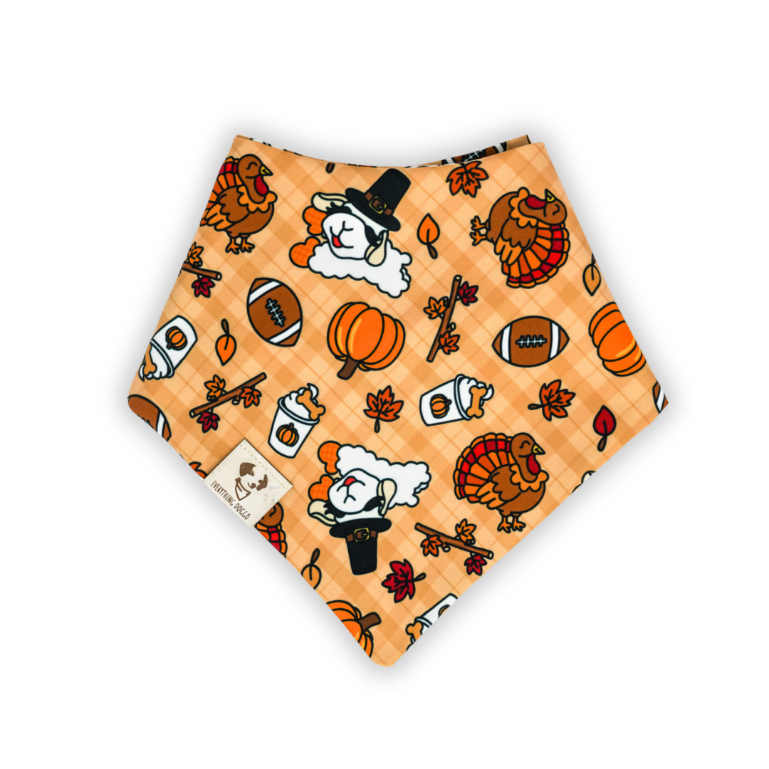 Favorite Fall Things - Bandana