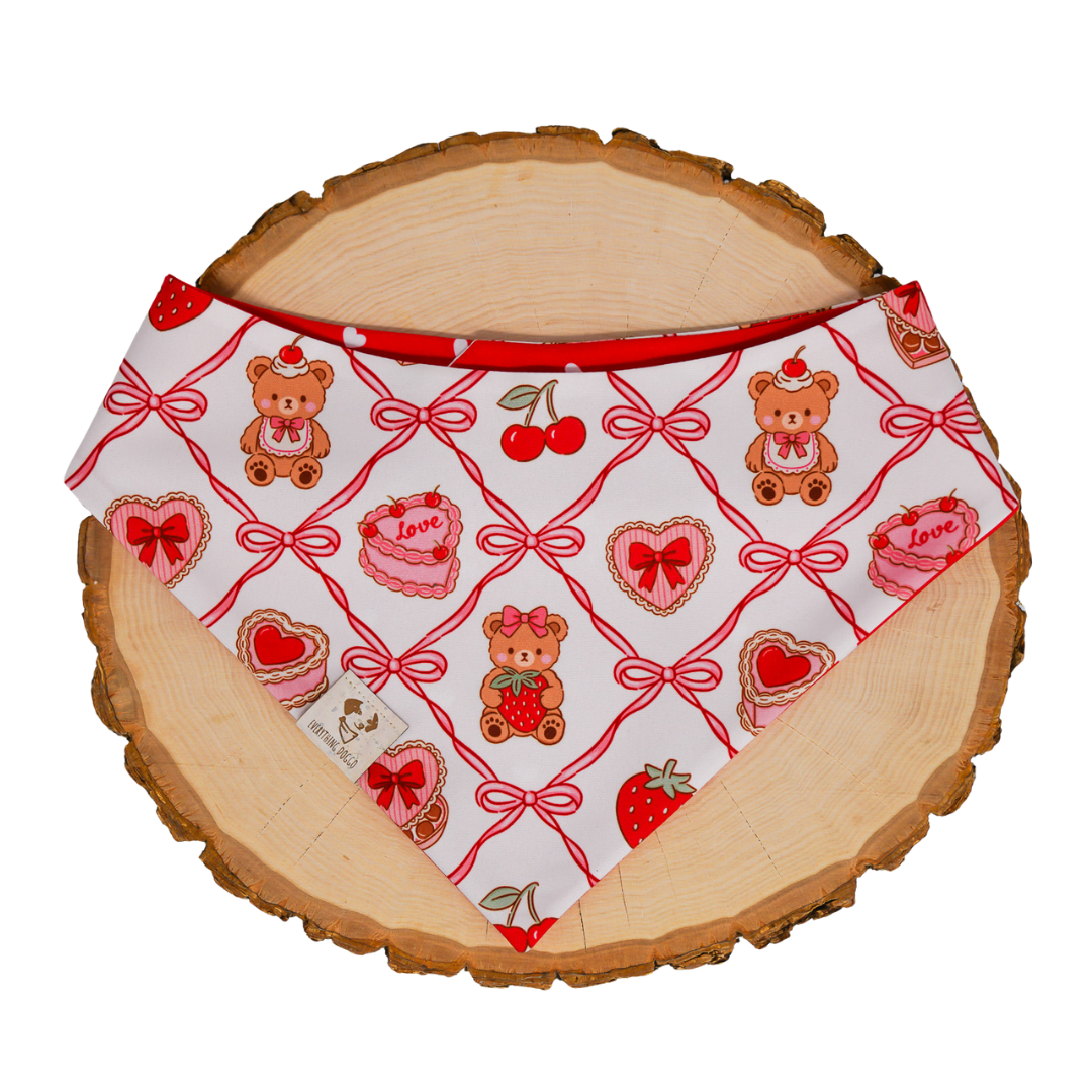 Coquette Valentine - Bandana (Reversible)