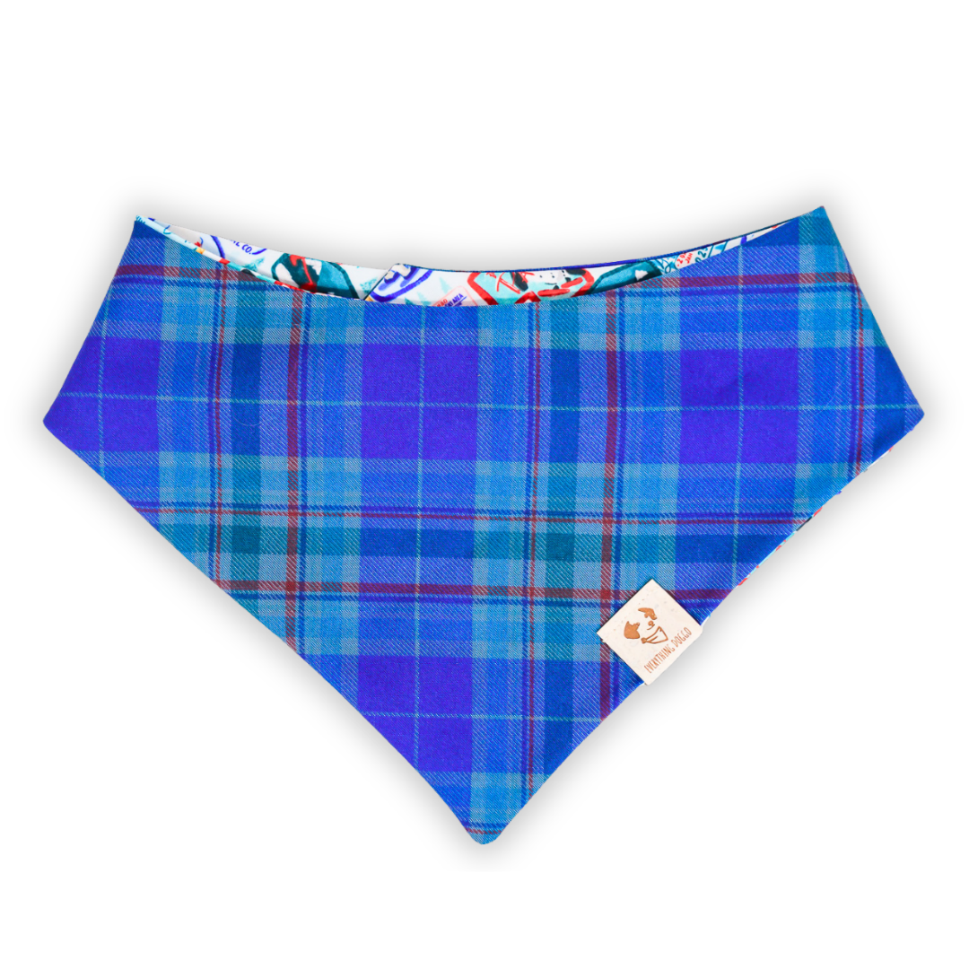 Ski Season (December Monthly Mystery) - Bandana