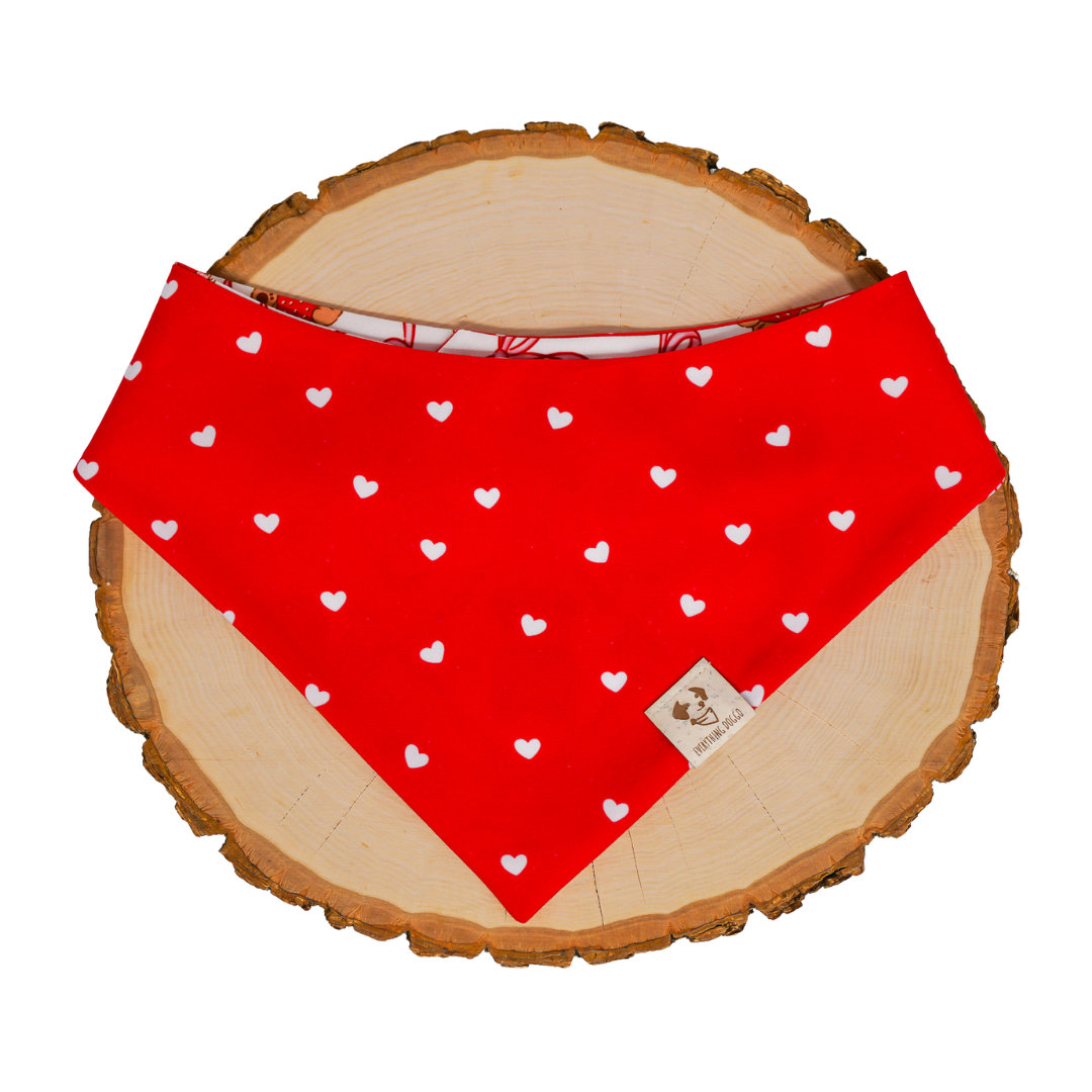 Coquette Valentine - Bandana (Reversible)