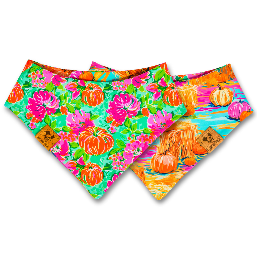 Preppy Pumpkins -  Bandana (Reversible)