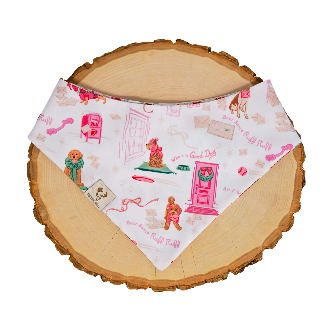 Dear Santa Ruff Ruff (October Monthly Mystery) - Bandana