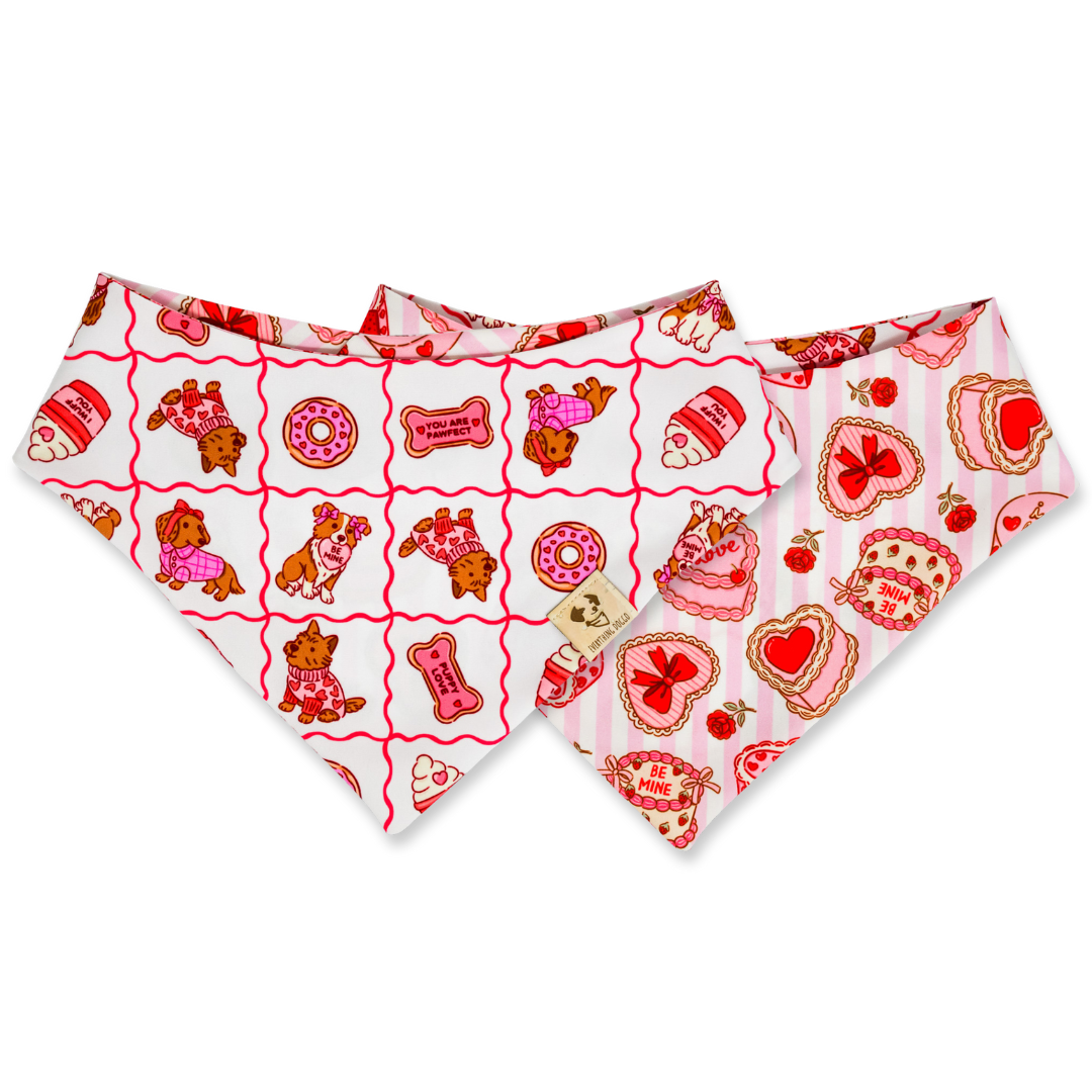 Pupcakes and Kisses (November Monthly Mystery) - Bandana