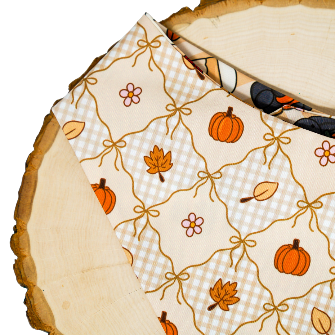 Autumn Snuggles - Bandana (Reversible)