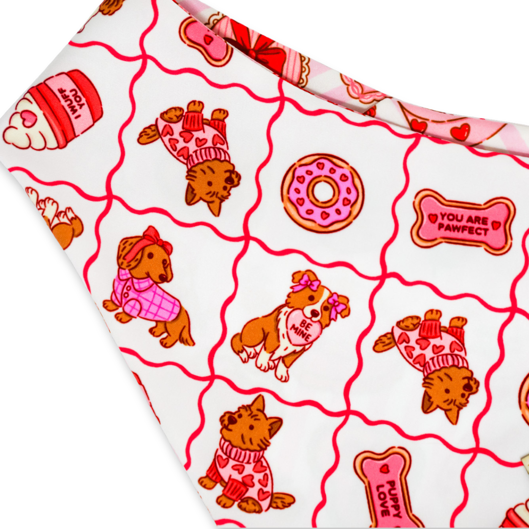 Pupcakes and Kisses (November Monthly Mystery) - Bandana