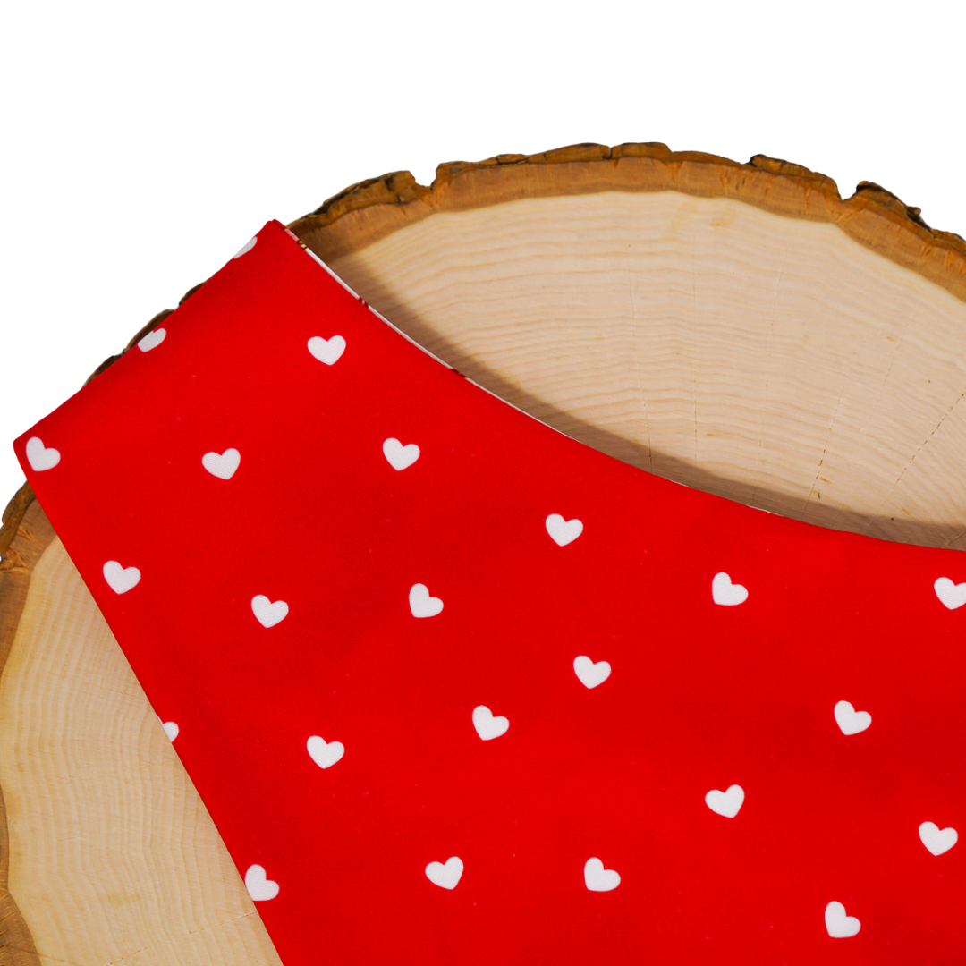 Coquette Valentine - Bandana (Reversible)