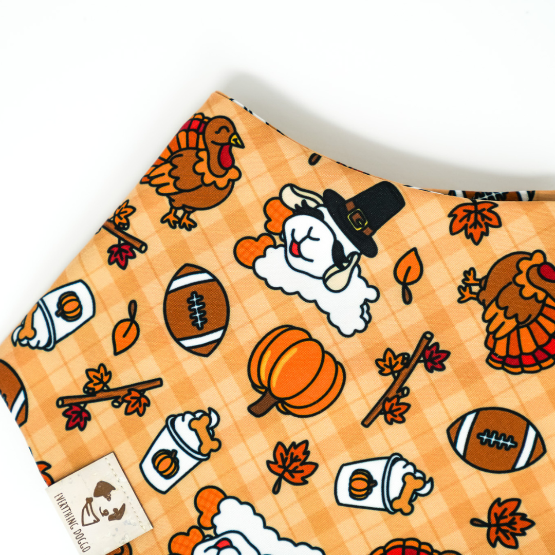Favorite Fall Things - Bandana