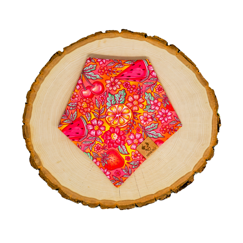 Sunset Fruit - Bandana