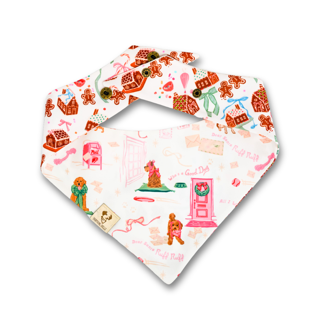 Dear Santa Ruff Ruff (October Monthly Mystery) - Bandana