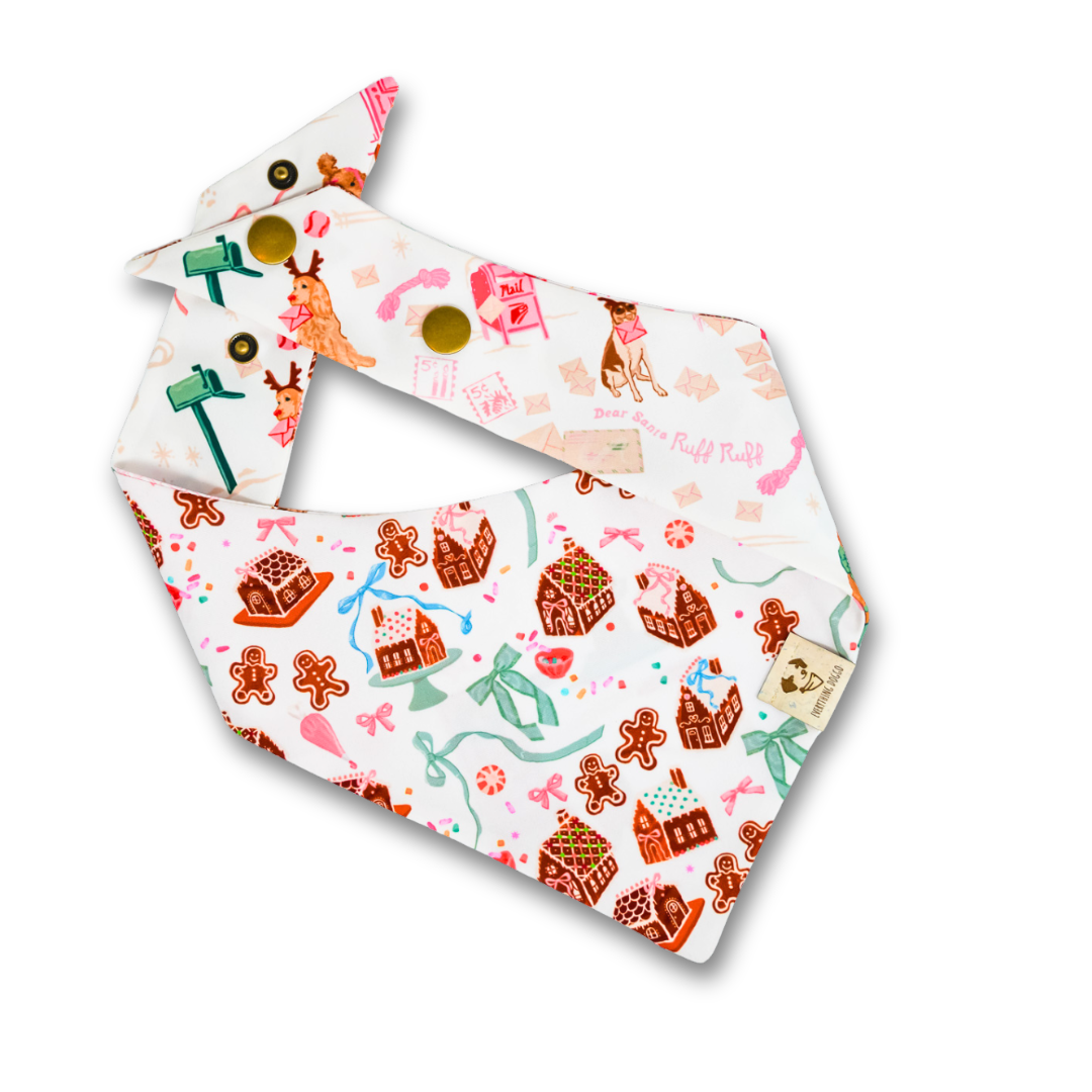 Dear Santa Ruff Ruff (October Monthly Mystery) - Bandana